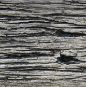 QPro Premium Timberlook Country